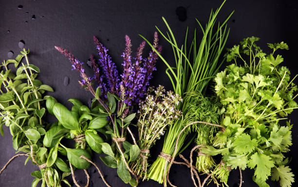 istock Fresh herbs lay on a rustic background. Basil, flower sage, thyme, oregano, dill, chives, parsley and coriander. 1225656091