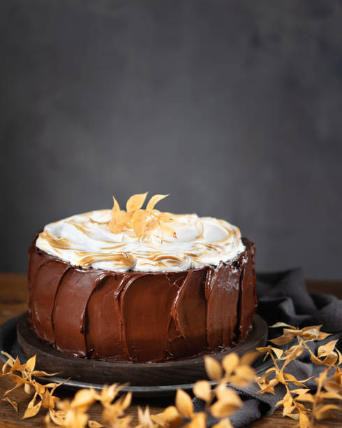 istock Thanksgiving Delicious homemade chocolate cake with Meringue Topping over rustic table, copy space. Selective focus. Autumn station cake concept. 1225657182
