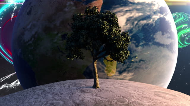 Tree on the moon in front of the Earth planet against the backdrop of celestial bodies and stars. Computer generated futuristic composition. 3D rendering elements of this image furnished by NASA