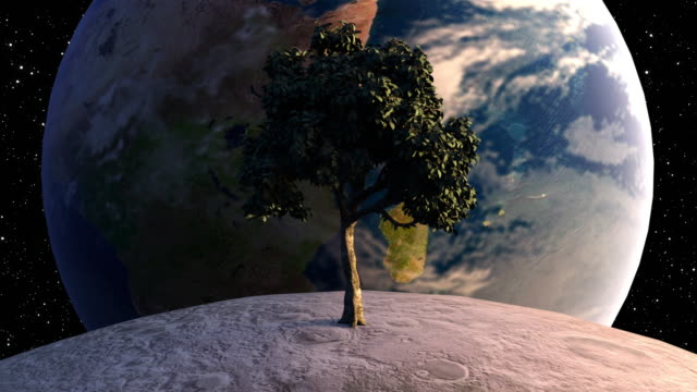 Tree on the moon in front of the Earth planet against the backdrop of celestial bodies and stars. Computer generated futuristic composition. 3D rendering elements of this image furnished by NASA