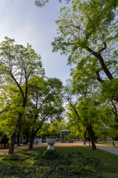 istock Zichy park pavilion in Szekesfehervar, Hungary 1225659431