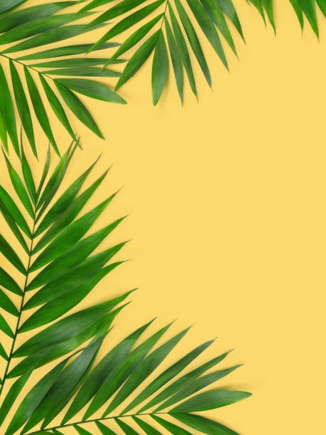 istock Green plants summer concept template for your text or design on yellow  paper background. 1225660694