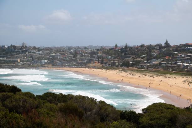 istock Long Reef beach goes to Dee Why Beach, Sydney Australia 1225663840