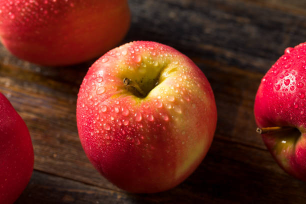 istock Raw Organic Red Fuji Apples 1225664647