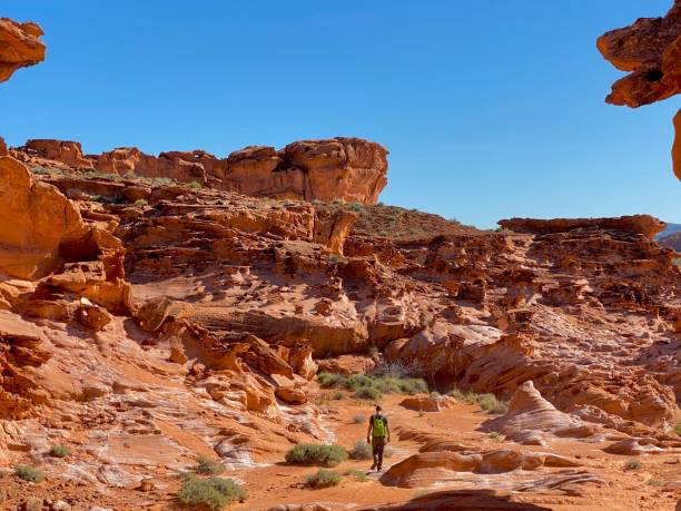 istock Little Finland, Nevada 1225664910