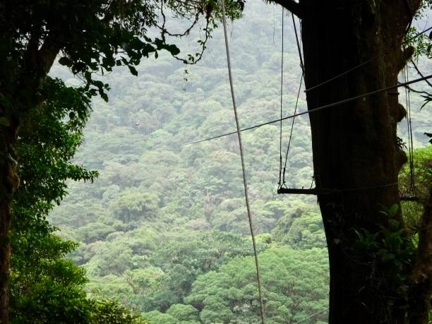 istock Zipline in Costa Rica 1225665154