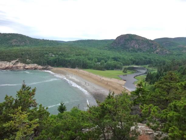 istock Beach in Acadia National Park 1225665170