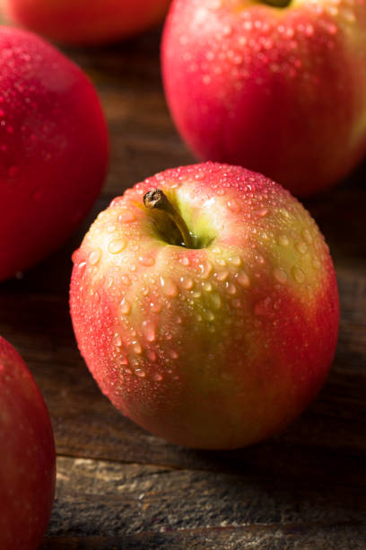 istock Raw Organic Red Fuji Apples 1225665865