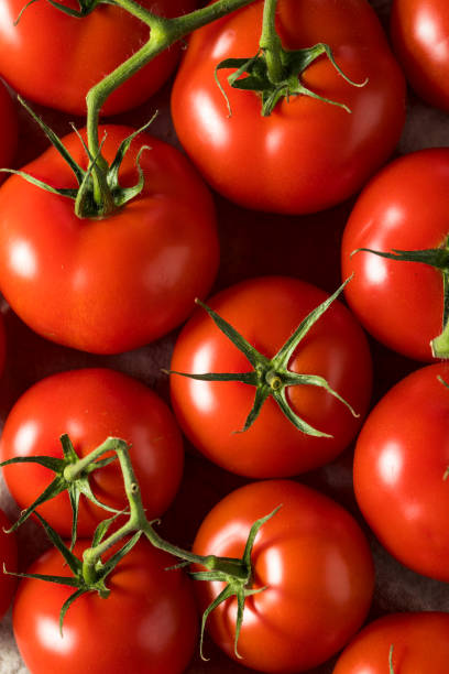 istock Raw Organic Vine Ripe Red Tomatoes 1225666066