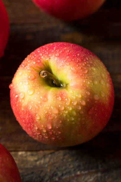 istock Raw Organic Red Fuji Apples 1225666150