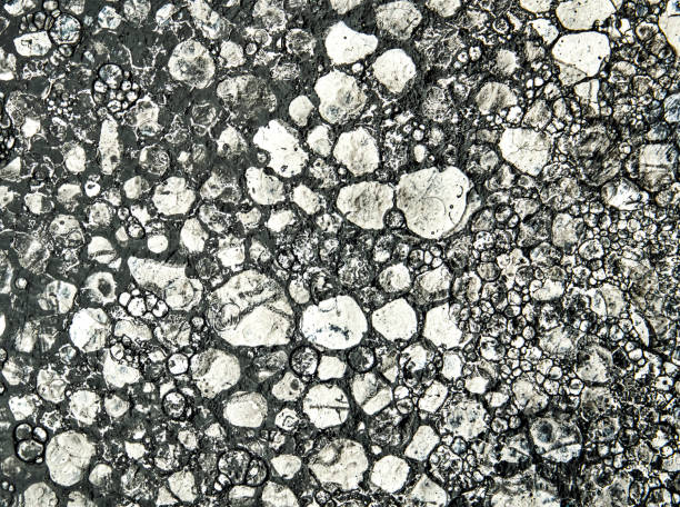 istock Abstract black and white painting with circles 1225666153
