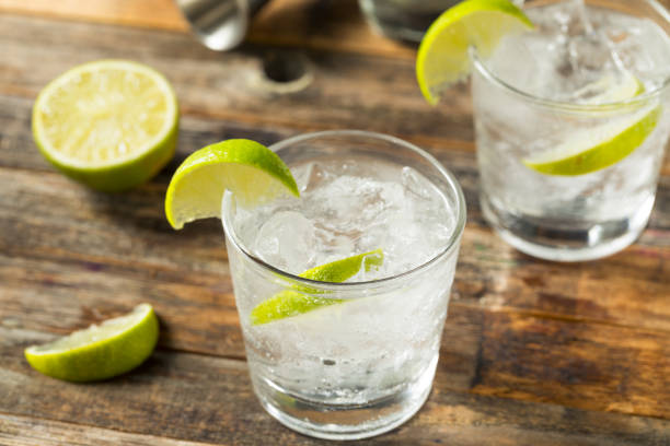 istock Refreshing Boozy Gin and Tonic 1225668642
