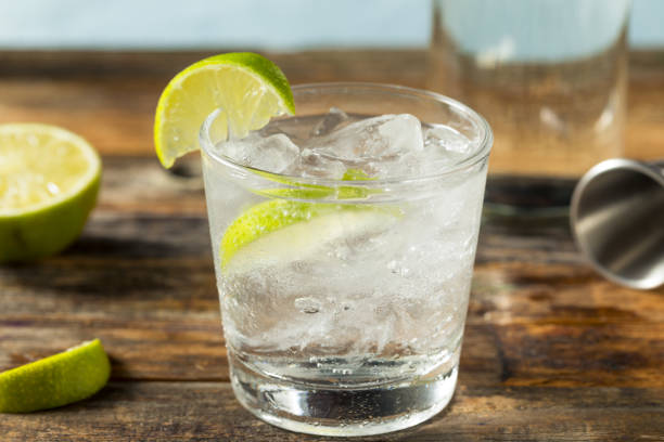istock Refreshing Boozy Gin and Tonic 1225670380
