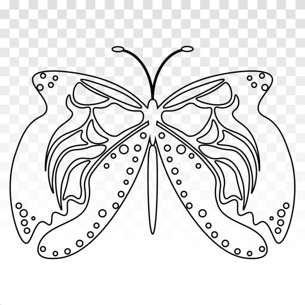 Insect Butterfly line art icon on a transparent background Insect Butterfly line art icon on a transparent background spider tribal tattoo stock illustrations