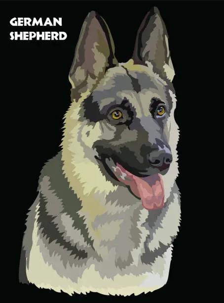 Vector illustration of German Shepherd colorful vector portrait