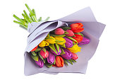 bouquet of multicolored tulips wrapped in light purple paper on a white background, isolate