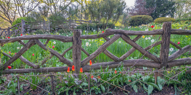 istock Shakespeare Garden in Central Park 1225676061