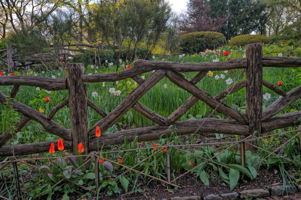 istock Shakespeare Garden in Central Park 1225676147