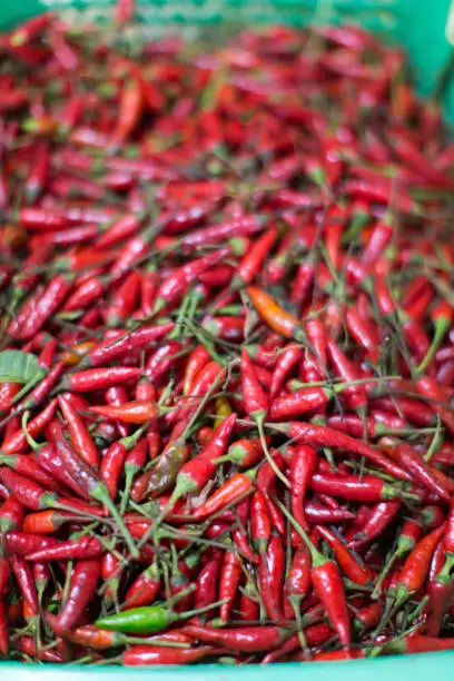 Photo of red chili pepper chilies on a market displayed