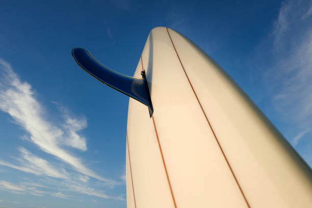 istock Surfboard fin with blue sky cloudy background 1225678058