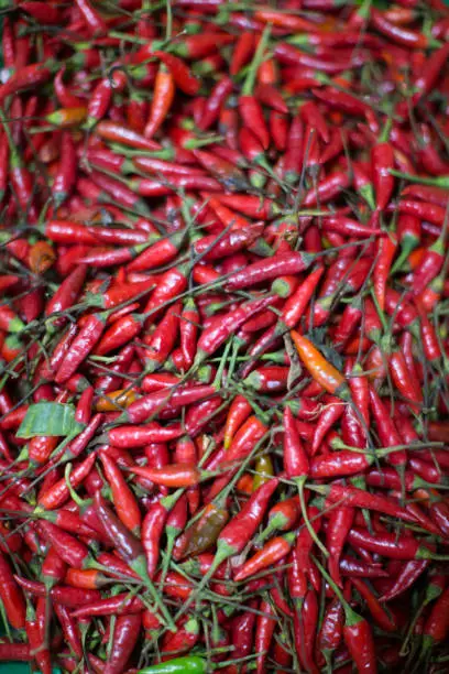 Photo of red chili pepper chilies on a market displayed