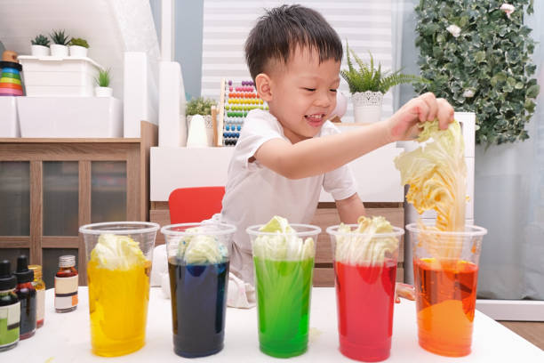 Asian kindergarten boy having fun making Rainbow Cabbage Experiment, Kid-friendly easy science experiments at home concept Asian kindergarten boy having fun making Rainbow Cabbage Experiment, Kid learn about how plants thrive by pulling water through it's vein system, Kid-friendly easy science experiments at home concept food coloring stock pictures, royalty-free photos & images