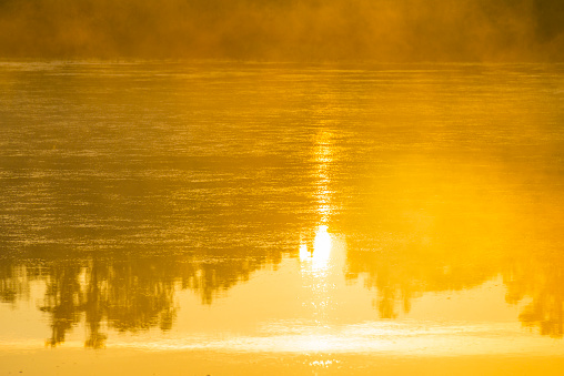 Reed along the edge of a misty lake below a blue yellow sky in sunlight at a yellow foggy sunrise in a spring morning, Almere, Flevoland, The Netherlands, May 17, 2020