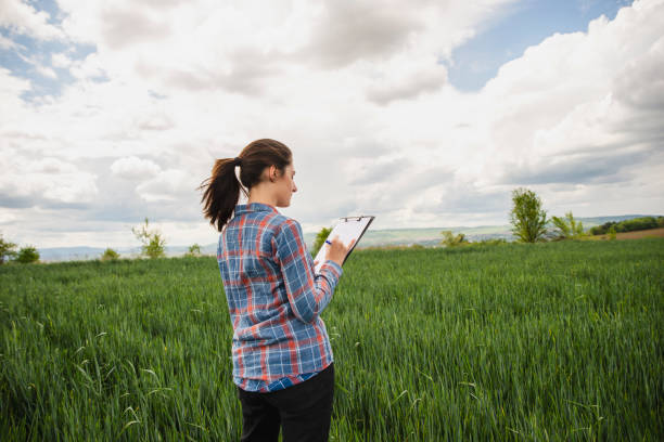 istock Young female agriculture scientist checking wheat crops on the field 1225685699
