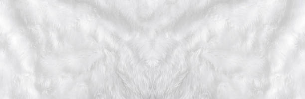 istock Wide animal white wool sheep background in top view light natural. Grey fluffy seamless cotton panoramic texture. Wrinkled lamb fur coat skin, rug mat raw material,  fleece woolly textile concept 1225685721