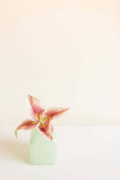 istock Pink Easter Lily in a Vintage Teal Vase with a White Background 1225686405