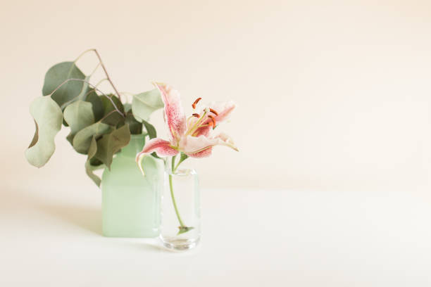 розовая пасхальная лилия в винтажной чирок вазе с белым фоном - lily white easter single flower стоковые фото и изображения