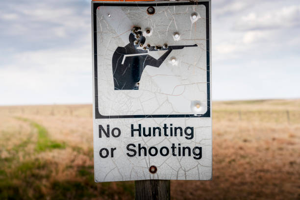 istock Bullet Holes in 