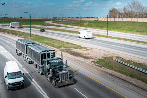 Louisiana Moving Prices