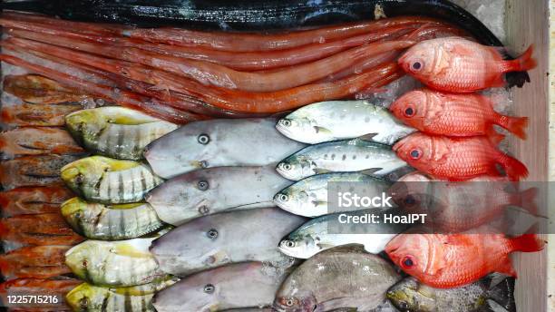 Fresh Fish For Sale At Vietnam Stock Photo - Download Image Now - Tsukiji Fish Market, Warehouse, Japan