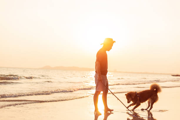 istock A man and a dog stand on the beach and sunset. 1225715996