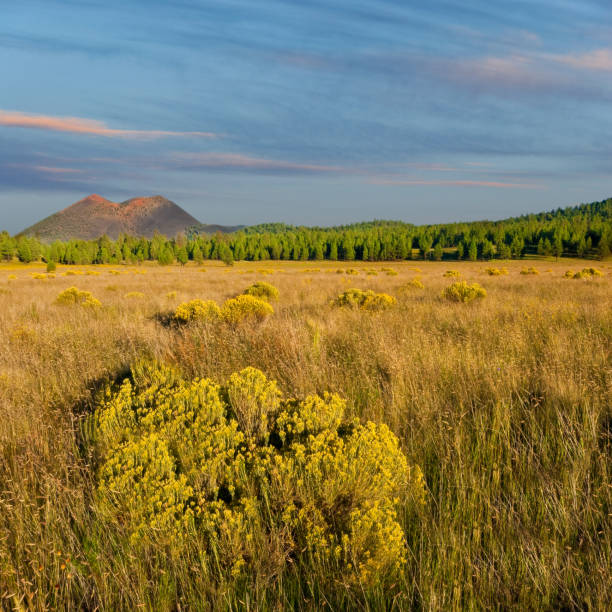 istock Sunset Crater and Bonito Park 1225716671