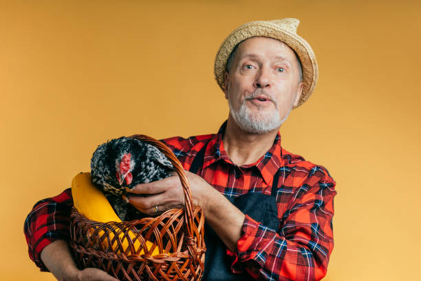 istock awesome old farmer holding a basket with a hen and a pumpkin 1225722821