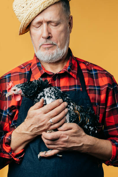 istock old grey-haired gorgeous man feels sorry for a hen 1225722855
