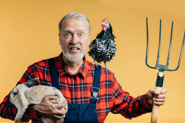 istock cheerfil senior man with a hen on his shoulder is standing with pitch fork 1225723542