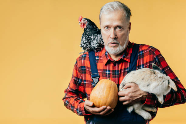 istock scared old man with a hen on his shoulder is holding a rabbit and a pumpkin 1225723545
