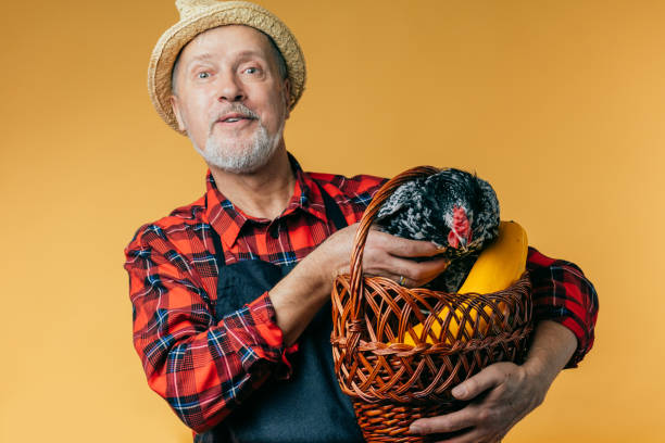 istock hardworking funny old man in special uniform with a basket posing to the camera 1225723677