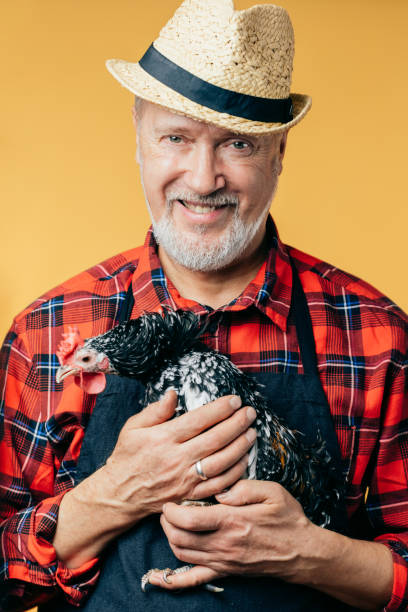 istock positive man in hat and uniform embracing a hen 1225723702