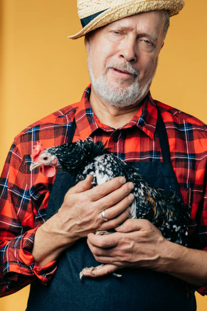 istock sad unhappy man is holding hurted hen 1225723711