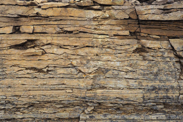 istock Wall of natural flagstone. Pattern. Background for wallpaper. 1225726017
