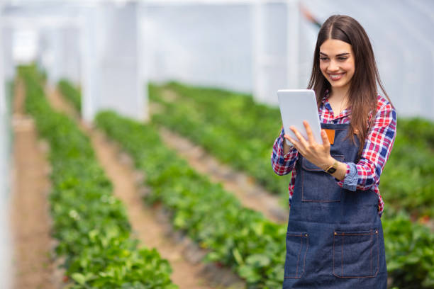 istock Agricultural engineer working in the greenhouse. 1225728059