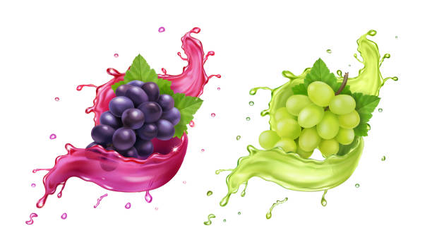 weiß- und rotweintrauben in realistischem saftspritzer. vektorsymbol-set. - green ground juice freshness stock-grafiken, -clipart, -cartoons und -symbole