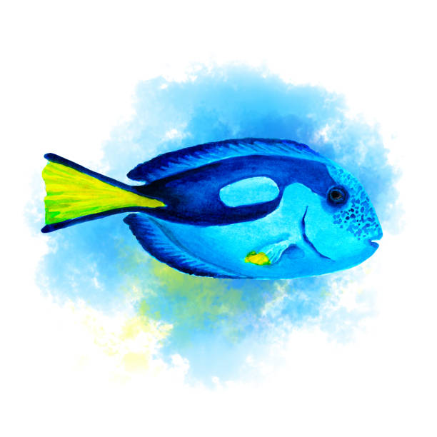 istock Blue tang fish on abstract blue background, isolated, hand drawn watercolor. 1225732083