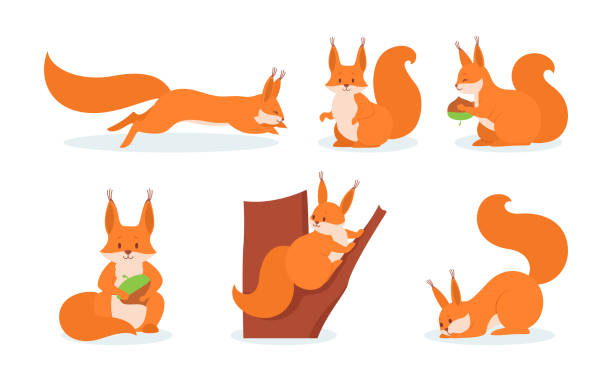 Squirrel Running Illustrations, Royalty-Free Vector Graphics & Clip Art - iStock Squirrel Running Illustrations, Royalty-Free Vector Graphics & Clip Art - iStock
