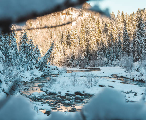 hermosa fotografía de larga exposición de un arroyo o arroyo en invierno. rocas en un río, desenfoque de movimiento. - deep creek area fotografías e imágenes de stock