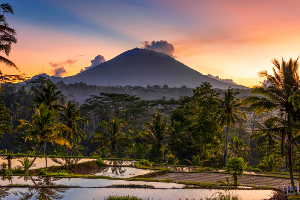 istock A shot from Tampak Siring Gianyar Bali 1225734430